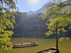 -深圳仙湖植物园