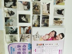 -仁华宠物医院(青羊店)