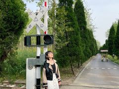 -合肥滨湖国家森林公园