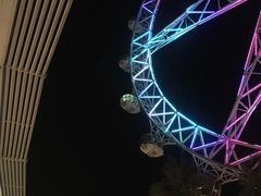 -墨尔本之星 观景摩天轮