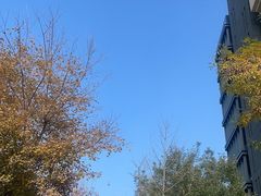 -海汕记·潮汕鲜牛肉火锅·自助