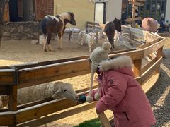 -HERRE·FARM 赫尔露营农场·团建聚会包场