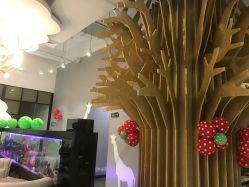 -可爱多国际儿童摄影会馆(龙泉店)