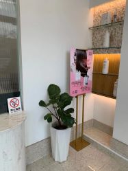点击看大图 -YESIDO椰岛造型