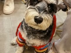 -宠物梦想家(日月豪庭店)