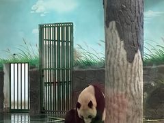 -安吉竹博园