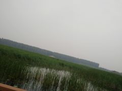 -白洋淀景区
