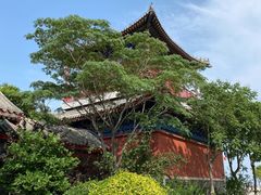 -天津妈祖文化园