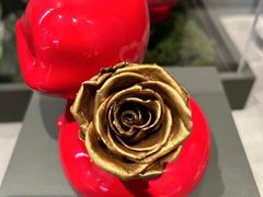 -ROSEONLY诺誓(青岛万象城店)