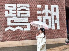 -美的鹭湖森林度假区