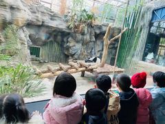 -蓝莓果幼儿园(通州梨园店)