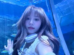 -海合安成都极地海洋公园