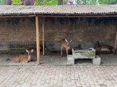 -保定市动物园