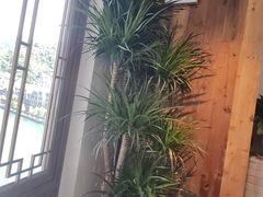 -包整·丝娃娃(甲秀楼景观店)