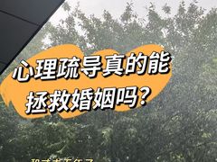 -桥恩心理咨询国际连锁(南山总店)