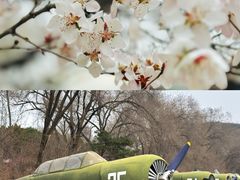 -中国航空博物馆