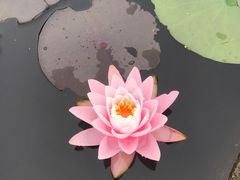 -华南国家植物园-售票处