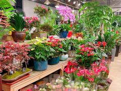 -双季花艺园艺市场(浦东店)