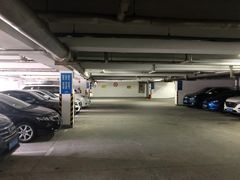 -上海海洋水族馆-停车场