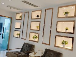 -MIVI野生眉纹绣纹眉