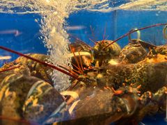 -上和臻品中国菜(花园街店)