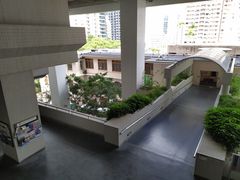 -香港大学