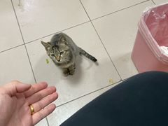 -清真·白家牛肉罩火烧老店(育才街店)