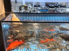 -明月土菜馆(老城区店)