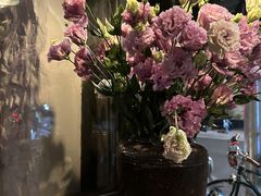 -Apollo·西班牙小酒馆(安福路店)