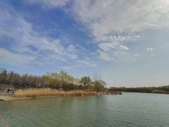 -大兴滨河森林公园