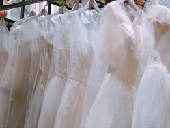 -菲林婚纱摄影工作室