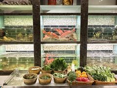 -甄御•海鲜新青岛菜(麦岛店)