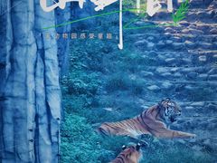 -太湖龙之梦