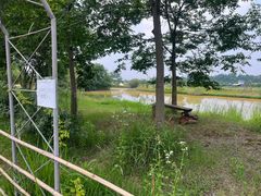 -金谷域澳洲庄园