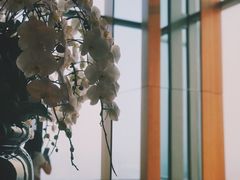 -视界美食自助餐厅·石家庄希尔顿酒店