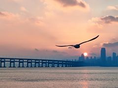 -星海广场