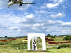 -空港花田景区