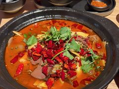 -川堂风·跷脚牛肉·乐山爆炒(宝山日月光店)