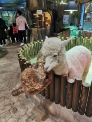 -宝燕乐园(闵行旗舰店)