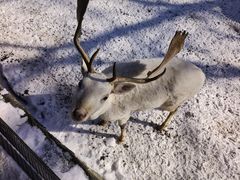 -沈阳森林动物园