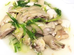 豉油鸡-新陶陶酒家
