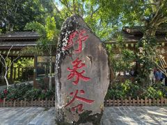 -野象谷景区