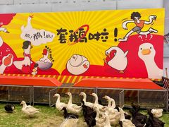 -哈尔滨热雪奇迹