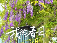 -西安市长乐公园