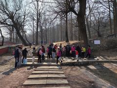 -阳台山自然风景区