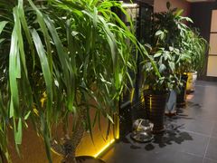 -隐炉和牛烧肉店(群力店)