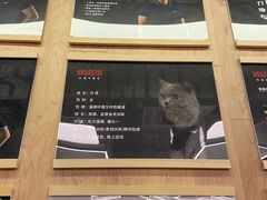 -Vamos巴猫司健身中心(五角场店)