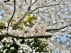 -川沙古镇-停车场