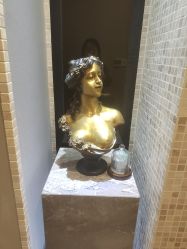 -露德瑪麗科技美肤·美迪迈·华熙生物
