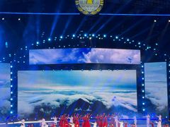 -第35届青岛国际啤酒节